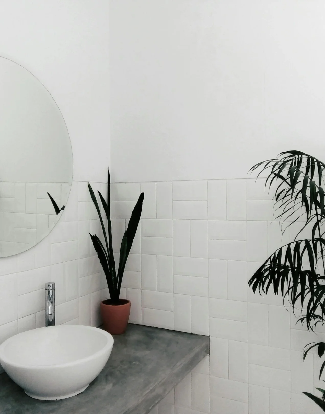 Bathroom Remodeling Aliso Viejo | Contractor Orange County — Timberline Build Co 3 Modern bathroom with round mirror, vessel sink, snake plant, and palm, showcasing Aliso Viejo bathroom remodeling.